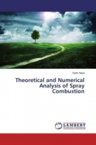 Kniha Theoretical and Numerical Analysis of Spray Combustion Ophir Nave