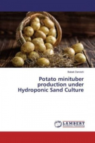 Kniha Potato minituber production under Hydroponic Sand Culture Babak Darvishi