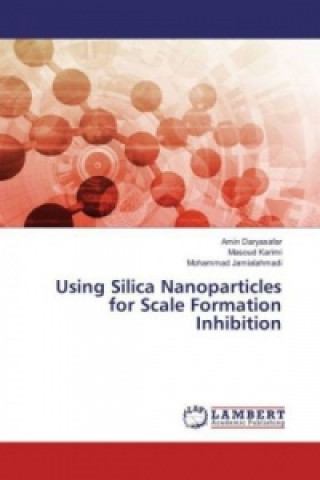 Kniha Using Silica Nanoparticles for Scale Formation Inhibition Amin Daryasafar