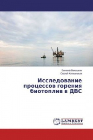Kniha Issledovanie processov goreniya biotopliv v DVS Evgenij Vetoshkin