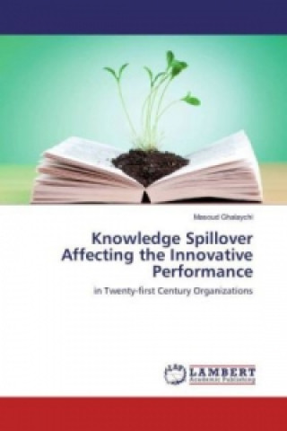 Kniha Knowledge Spillover Affecting the Innovative Performance Masoud Ghalaychi