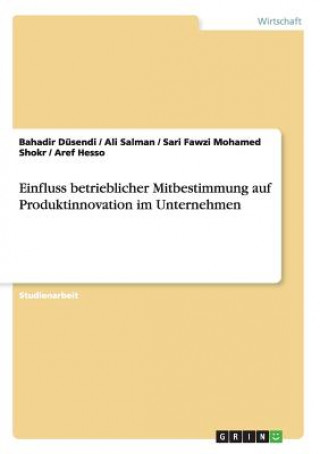 Kniha Einfluss betrieblicher Mitbestimmung auf Produktinnovation im Unternehmen Bahadir Düsendi