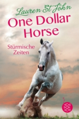 Kniha One Dollar Horse - Stürmische Zeiten Lauren St. John