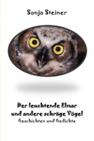 Buch Der leuchtende Elmar Sonja Steiner