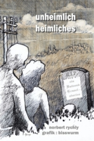 Buch unheimlich heimliches Norbert Rychly