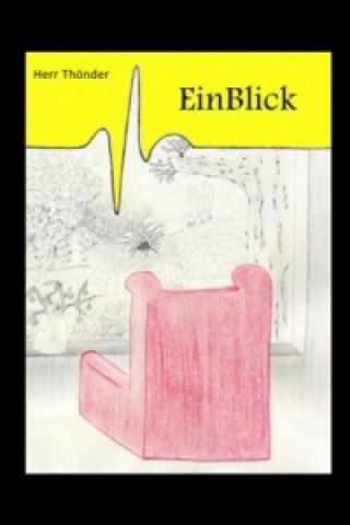 Boek EinBlick Herr Thönder