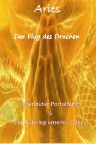 Könyv Aries II - Der Flug des Drachen Gwaiden Keil-Biegel