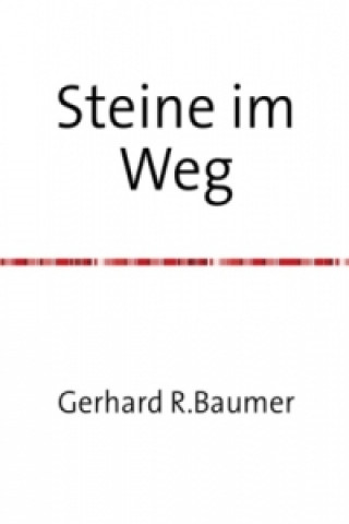 Book Steine im Weg Gerhard Baumer