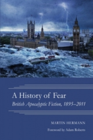 Kniha A History of Fear Martin Hermann