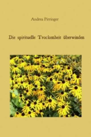 Buch Die spirituelle Trockenheit überwinden Andrea Pirringer