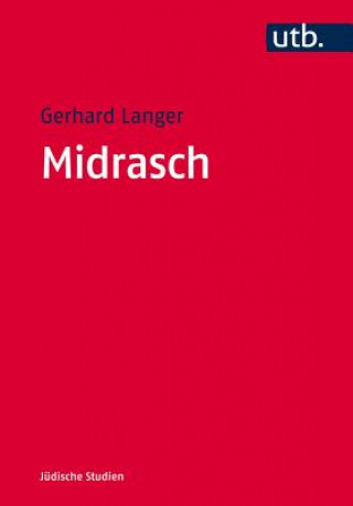Boek Midrasch Gerhard Langer