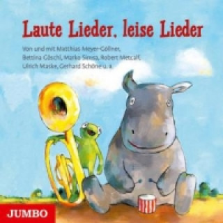 Audio Laute Lieder, leise Lieder, 1 Audio-CD 