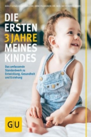 Kniha Die ersten 3 Jahre meines Kindes Katrin Edelmann