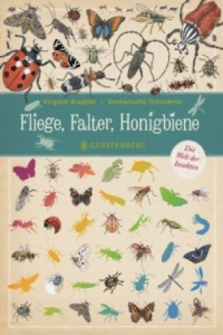 Book Fliege, Falter, Honigbiene Virginie Aladjidi