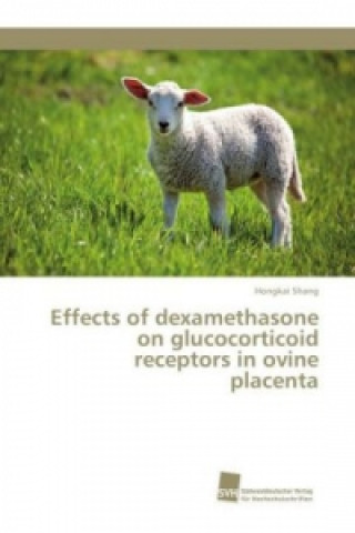 Libro Effects of dexamethasone on glucocorticoid receptors in ovine placenta Hongkai Shang