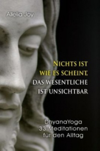 Kniha Nichts ist wie es scheint, das Wesentliche ist unsichtbar Allelia Joy