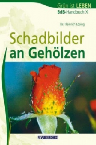 Kniha Schadbilder an Gehölzen Heinrich Lösing