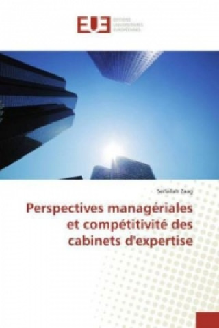 Kniha Perspectives managériales et compétitivité des cabinets d'expertise Seifallah Zaag