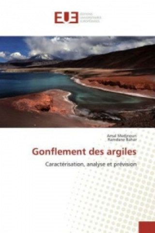 Buch Gonflement des argiles Amal Medjnoun