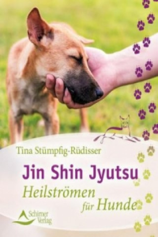 Książka Jin Shin Jyutsu Tina Stümpfig-Rüdisser