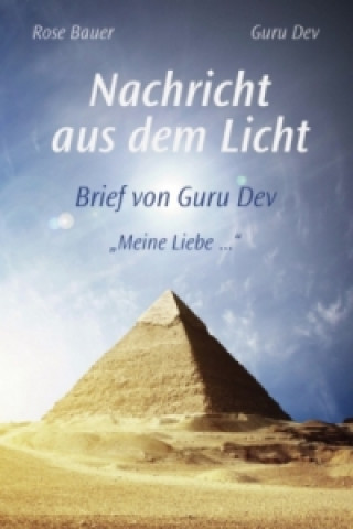 Knjiga Nachricht aus dem Licht Rose Bauer