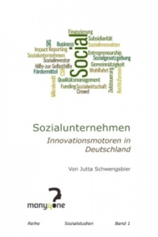 Kniha Sozialunternehmen Jutta Schwengsbier