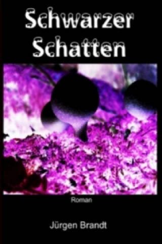 Книга Schwarzer Schatte / Schwarze Flut Jürgen Brandt