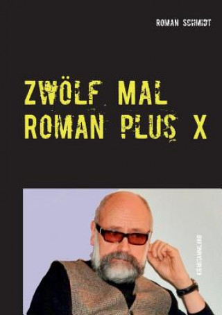 Könyv Zwoelf Mal Roman plus X Roman Schmidt