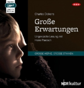 Audio Große Erwartungen, 2 Audio-CD, 2 MP3 Charles Dickens