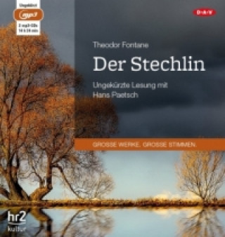 Аудио Unterhaltungen deutscher Ausgewanderten, 1 Audio-CD, 1 MP3 Johann Wolfgang von Goethe