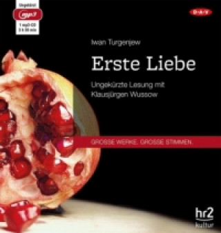 Audio Erste Liebe, 1 Audio-CD, 1 MP3 Iwan Turgenjew