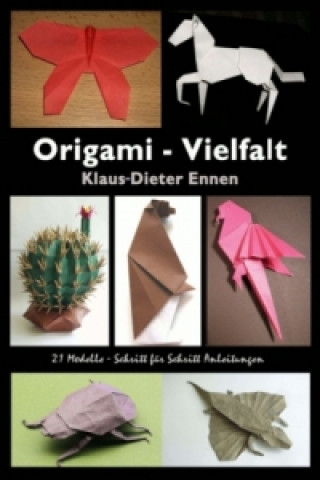 Könyv Origami - Vielfalt Klaus-Dieter Ennen