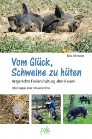 Kniha Vom Glück, Schweine zu hüten Nina Dittmann
