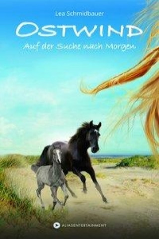Könyv Ostwind - Auf der Suche nach Morgen Lea Schmidbauer