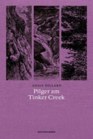 Kniha Pilger am Tinker Creek Annie Dillard