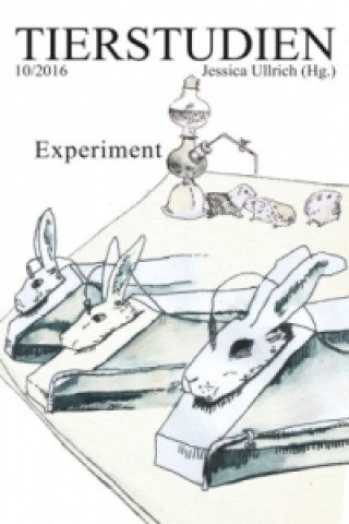 Kniha Experiment Michael Burton