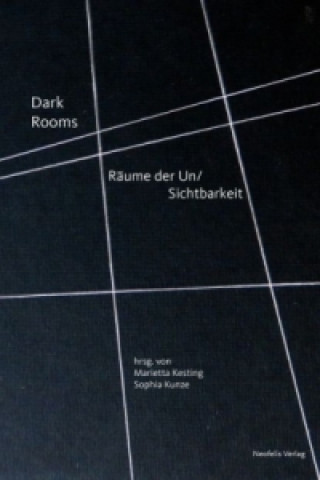 Knjiga Dark Rooms Nina Kathalin Bergeest