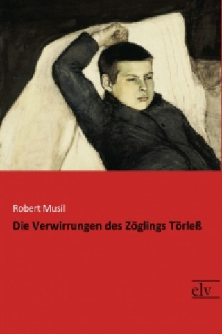 Книга Die Verwirrungen des Zöglings Törleß Robert Musil