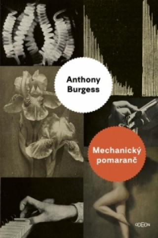 Kniha Mechanický pomaranč Anthony Burgess