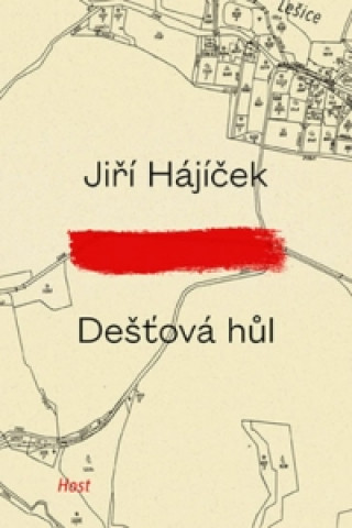 Книга Dešťová hůl Jiří Hájíček