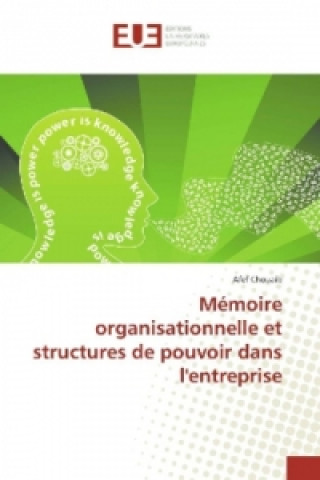 Kniha Mémoire organisationnelle et structures de pouvoir dans l'entreprise Afef Chouaib