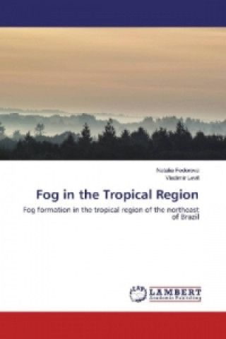 Kniha Fog in the Tropical Region Natalia Fedorova