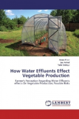 Kniha How Water Effluents Effect Vegetable Production Awais Khan