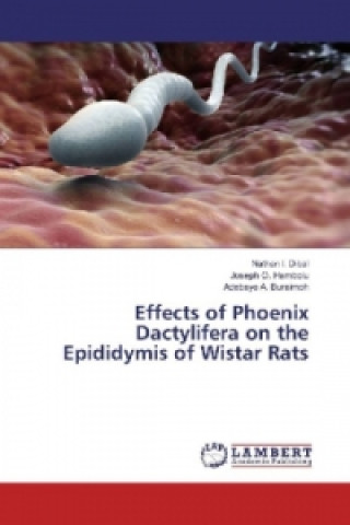 Carte Effects of Phoenix Dactylifera on the Epididymis of Wistar Rats Nathan I. Dibal