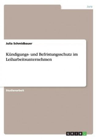 Kniha Kundigungs- und Befristungsschutz im Leiharbeitsunternehmen Julia Schmidbauer