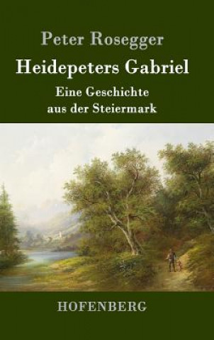 Könyv Heidepeters Gabriel Peter Rosegger