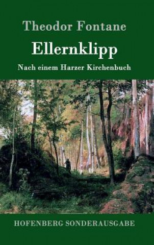 Libro Ellernklipp Theodor Fontane