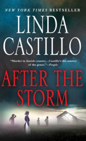 Kniha AFTER THE STORM Linda Castillo