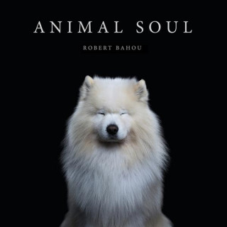 Kniha Animal Soul Robert Bahou