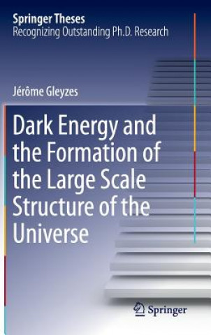 Kniha Dark Energy and the Formation of the Large Scale Structure of the Universe Jérôme Gleyzes